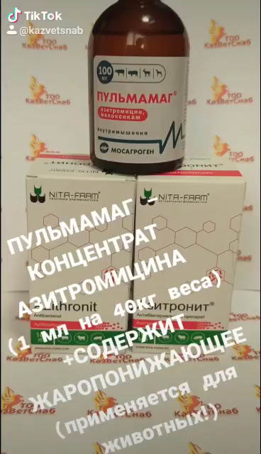 Видеоролик "О Пульмамаге" Видеоролик "О Пульмамаге"