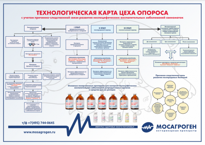 Плакат "Технологическая карта цеха опороса" Плакат "Технологическая карта цеха опороса"