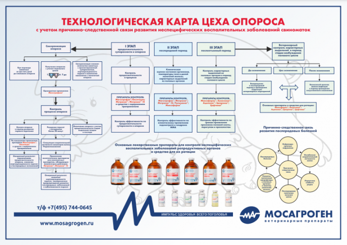 Плакат "Технологическая карта цеха опороса"