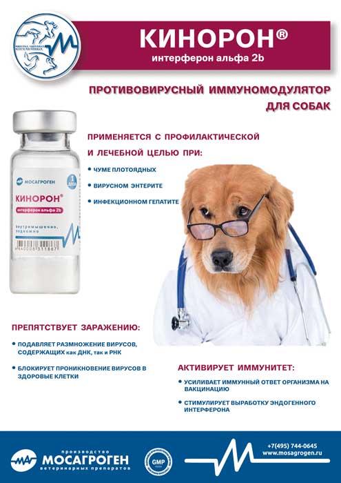 Листовка "Кинорон®" Листовка "Кинорон®"