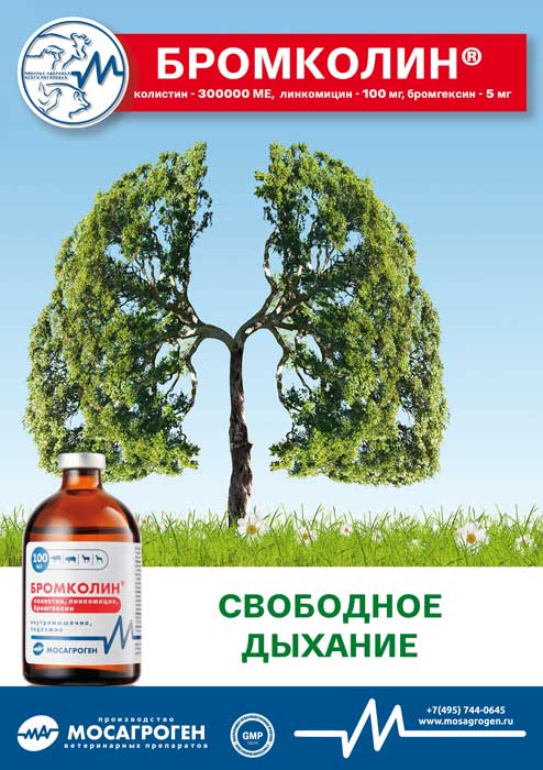 Листовка "Бромколин®" Листовка "Бромколин®"