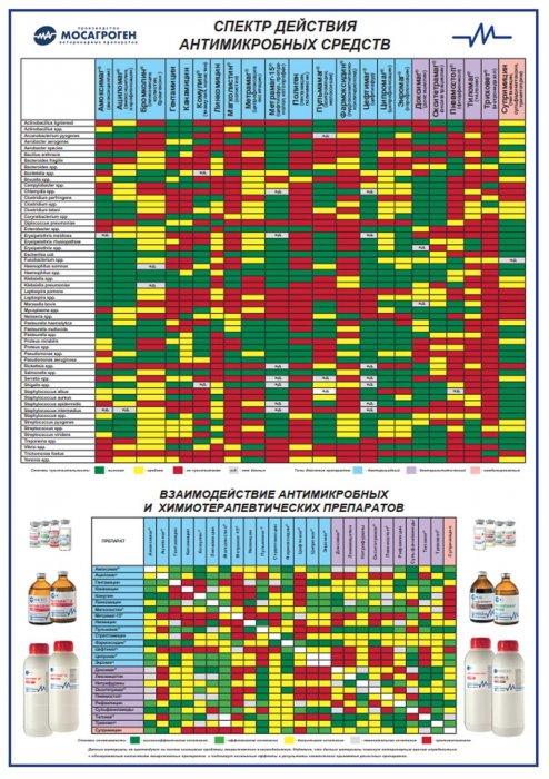 Плакат "Спектр действия антимикробных средств и их взаимодействие"