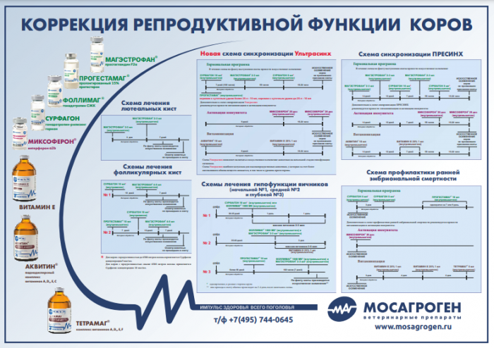 Плакат "Коррекция репродуктивной функции коров"