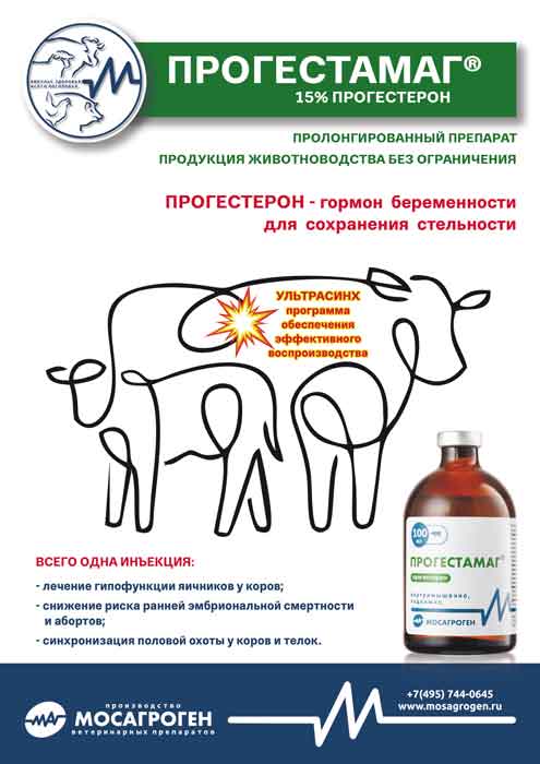 Листовка "Прогестамаг®" Листовка "Прогестамаг®"