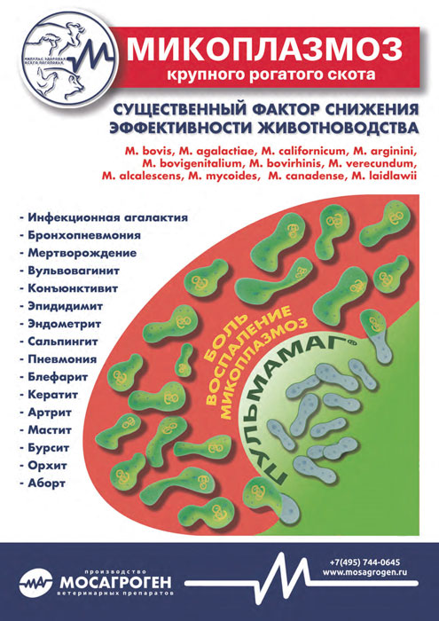 Листовка "Микоплазмоз" Листовка "Микоплазмоз"
