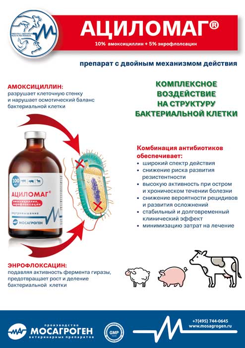 Листовка "Ациломаг®" Листовка "Ациломаг®"