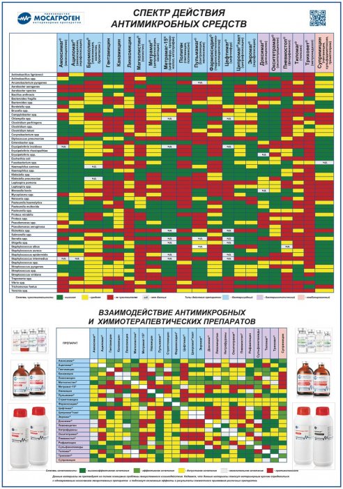 Плакат "Спектр действия антимикробных средств и их взаимодействие"