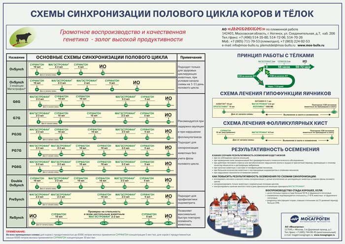 Плакат "Схемы синхронизации полового цикла КРС"