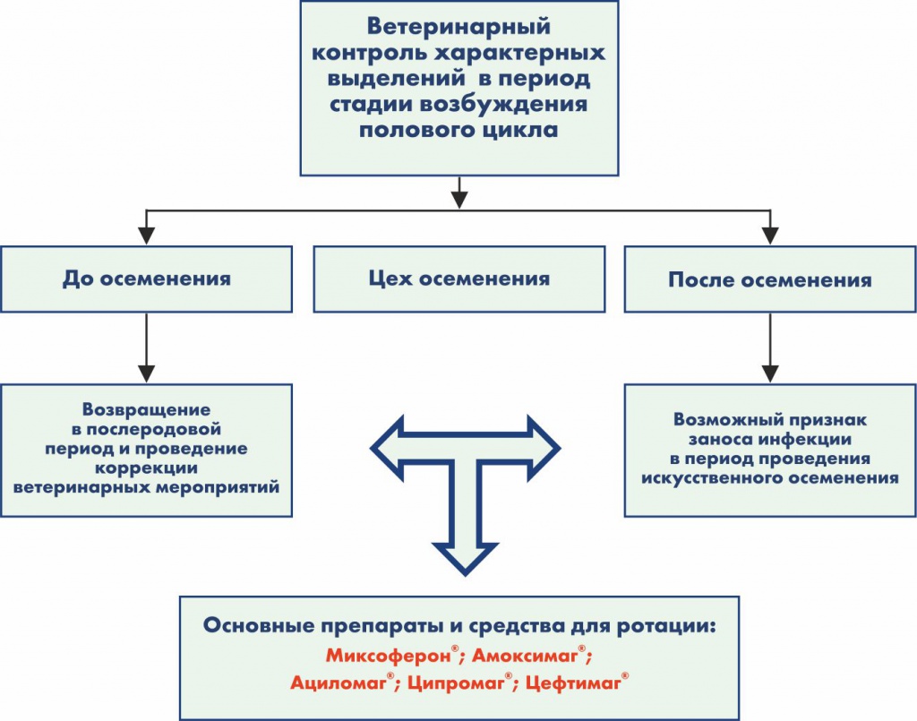 Аверон схемы лечения в ветеринарии. Организация ветеринарного контроля