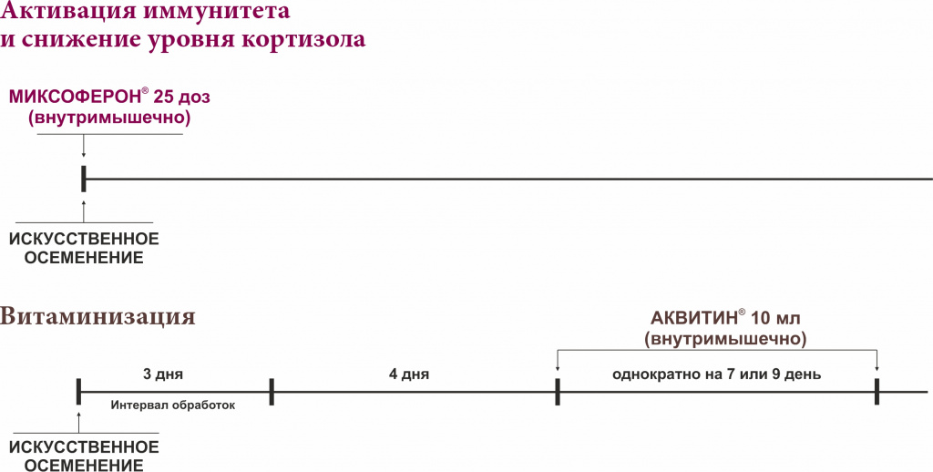 Схема 2.jpg