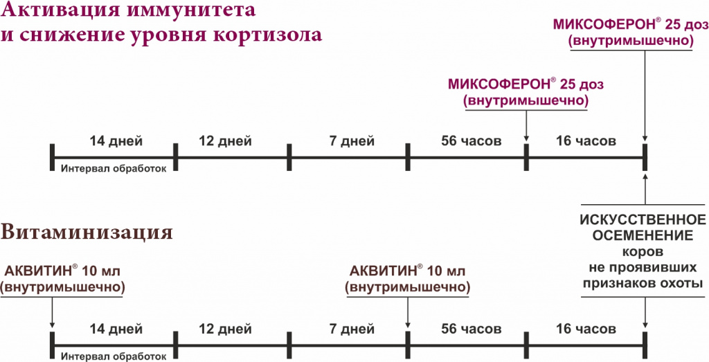 Схема 2.jpg Схема 2.jpg