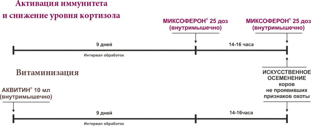 Схема 2.jpg
