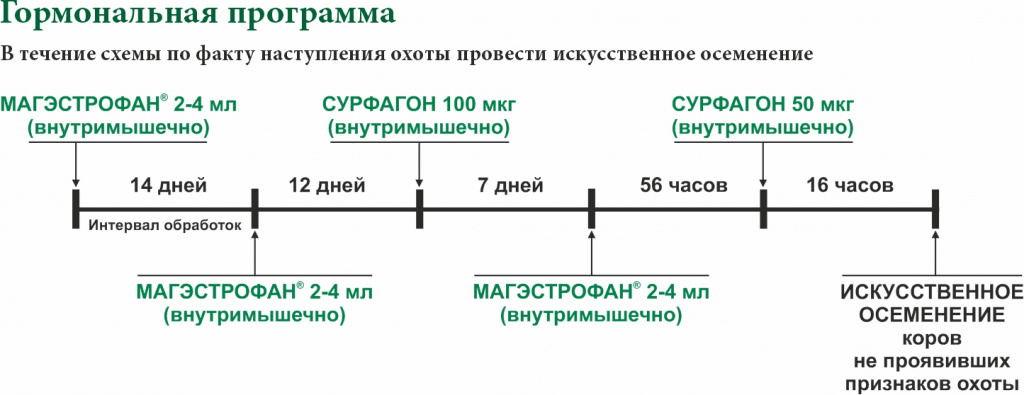 Схема 1.jpg