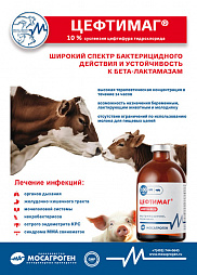 Листовка "Цефтимаг"