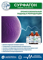 Листовка "Сурфагон"